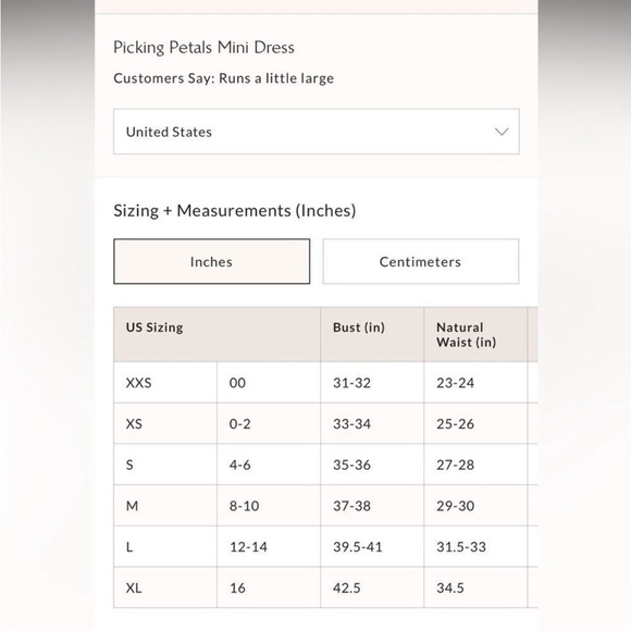 NWOT Free People Picking Petals Embroidered Mini Tunic Dress in Cardamom Seed XS - Picture 5 of 12
